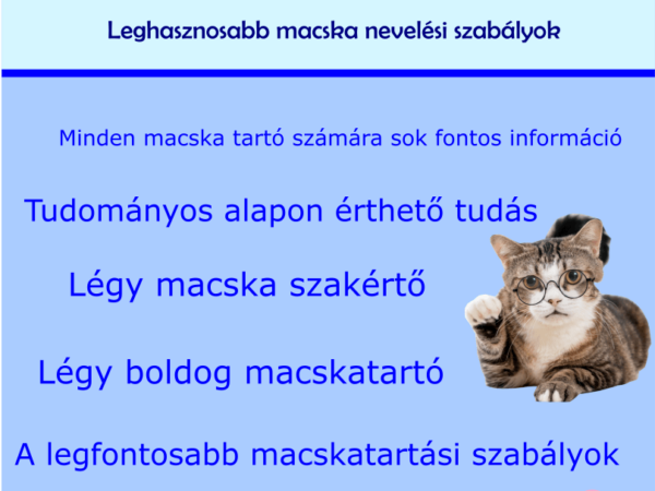Macska nevelési alapok